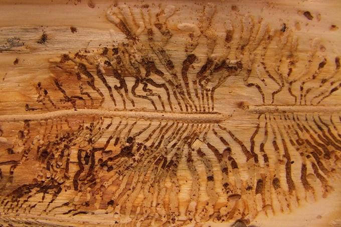 Gallery in wood.