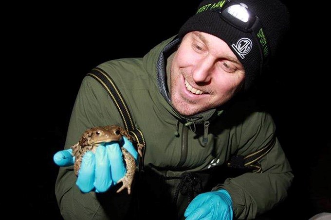  Man with headlamp and a toad in his hand.