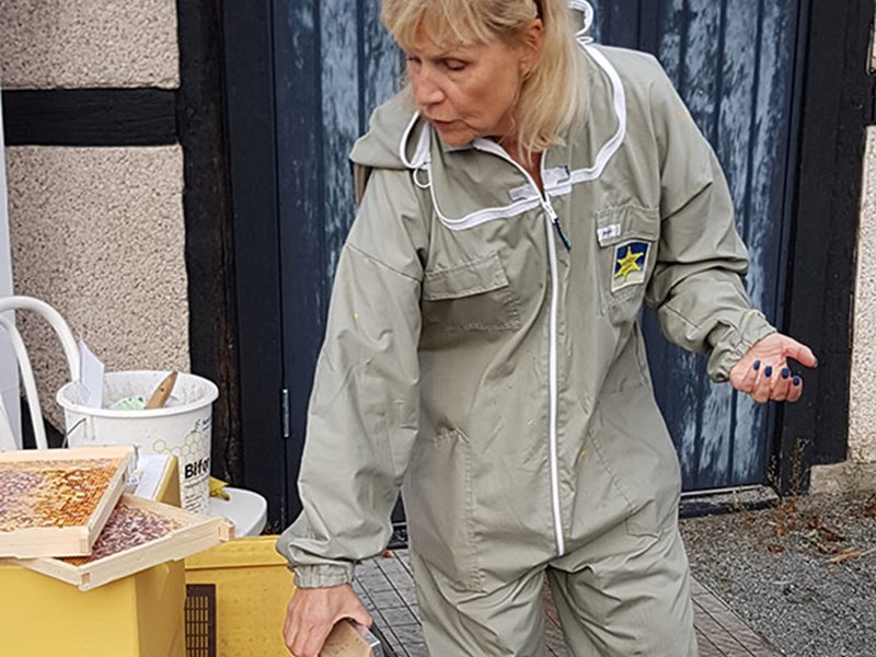 Kvinna vid bikupa