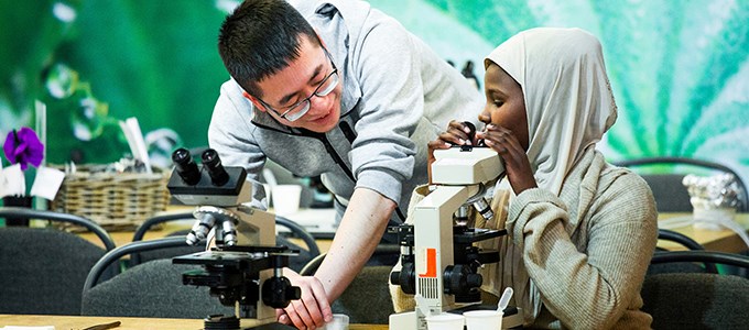 Man and child looking at something in a microsope.