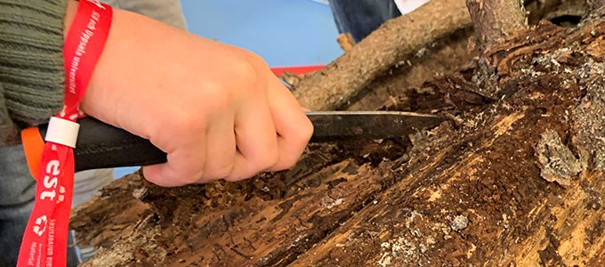 Hand and a log.