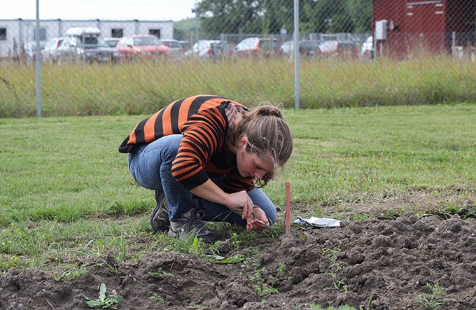 Student looking at weeds.