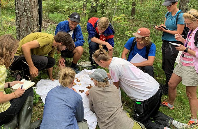 Studenter i skogen tittar på insekter.