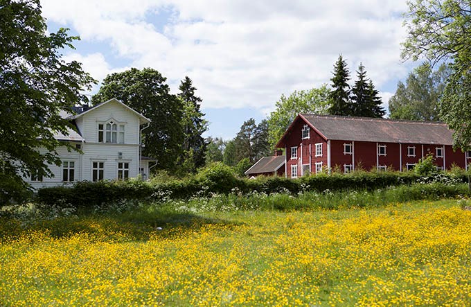 Två äldre byggnader på äng med blommor.