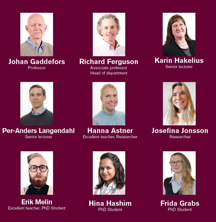 Bild på medlemmar i EIS forskargrupp