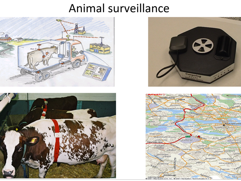 Description of A nimal Surveillance