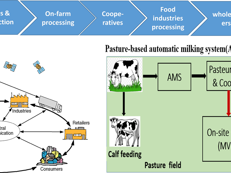 Flowchart over digitalisation and Automation in an integrated Agriculture and Food Value Chain