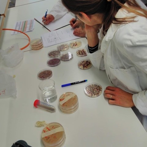Students in the laboratory analysing the hygiene in waste treatment reactors