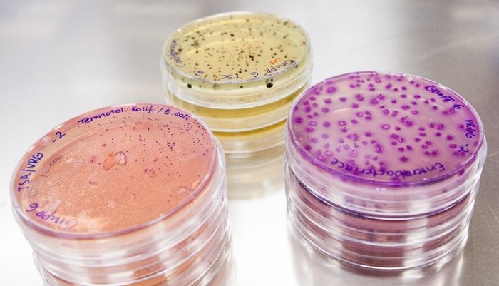 Bacteria is used to assess the hygiene during the waste treatment laboration