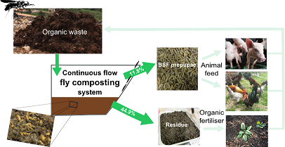 Fly larvae composting