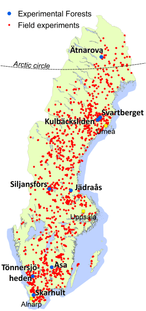 ESF:s lokalisering