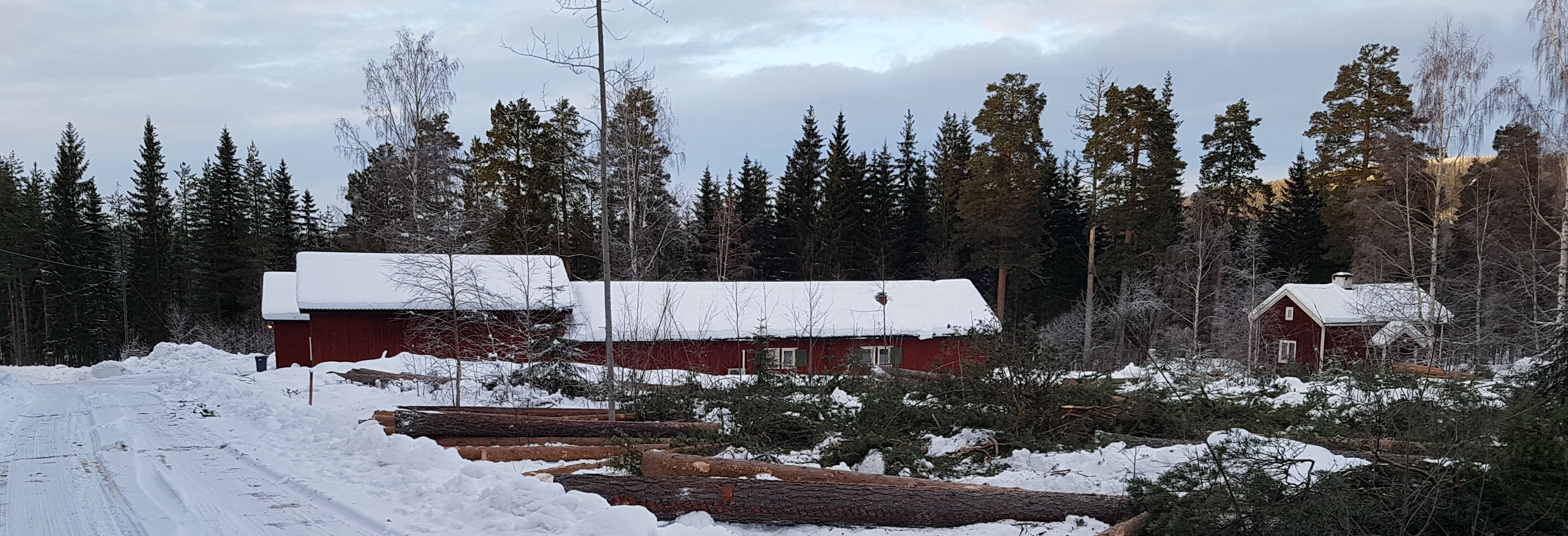 The field station viewed from the south east