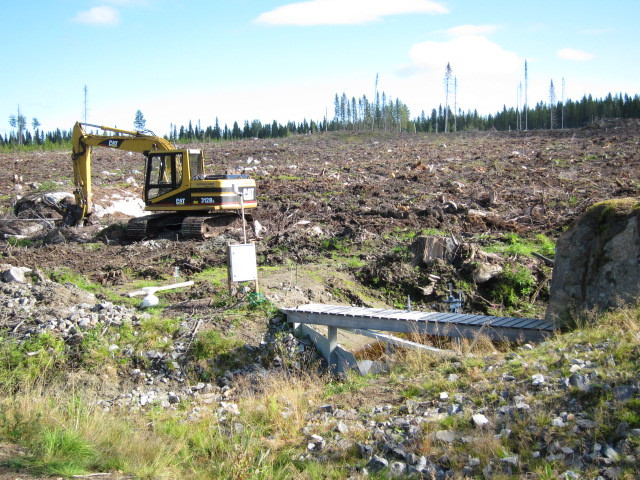 Digger on a clear-cut