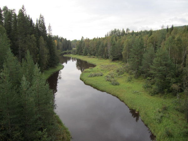 Rödånäs, autumn 2011