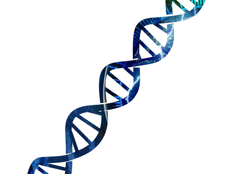 DNA