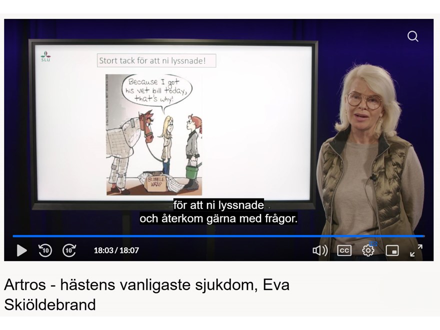 forskare-eva-skiöldebrand-presenterar-forskning-länk-till-föreläsningen-på-www.sluplay.se