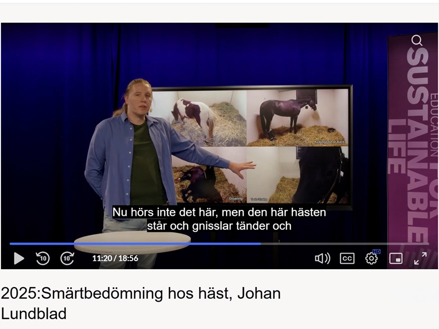 forskare-johan-lundblad-presenterar-forskning-länk-till-föreläsningen-på-www.sluplay.se