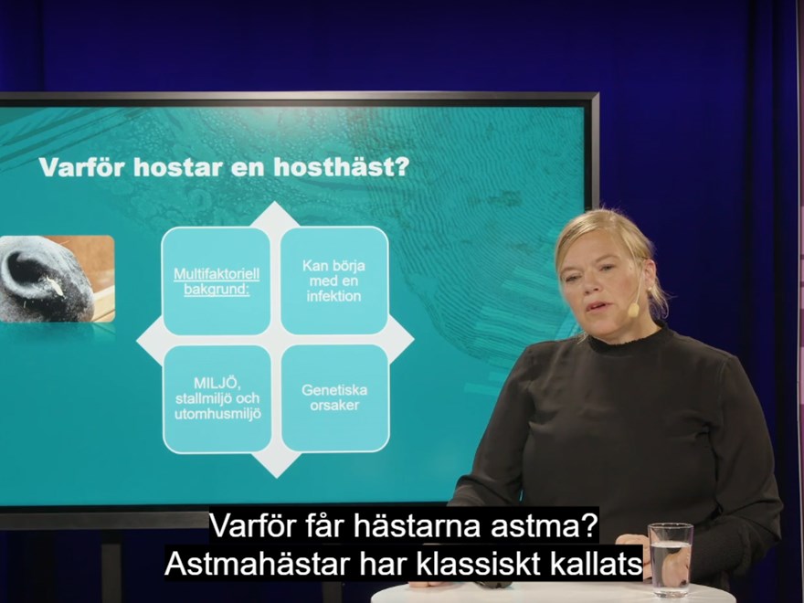 forskare-miia-riihimäki-presenterar-forskning-länk-till-föreläsningen-på-www.sluplay.se