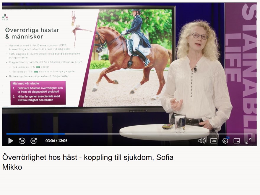 hippocampus-sofia-mikko-överrörlighet-hos-häst