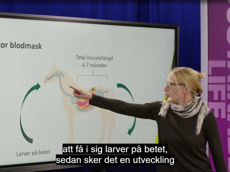 forskare-ylva-hedberg-alm-presenterar-forskning-länk-till-föreläsningen-på-www.sluplay.se