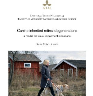 Cover of Suvi Mäkeläinen's doctoral dissertation