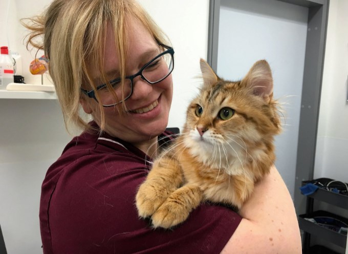 Forskaren Åsa Ohlsson med en sibirisk katt i famnen