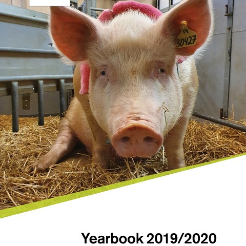Cover of yearbook 2019/2020 for department of animal breeding and genetics