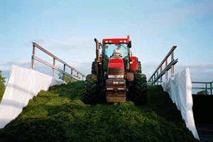 Foto: Traktor som packar grönmassa för förvaring ute.