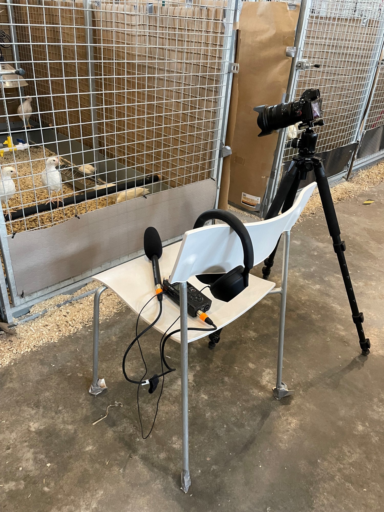 Ljudinspelningsutrustning och kamera på stativ framför fågelbur