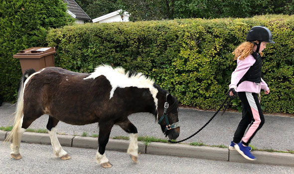 Photo: Child with a horse