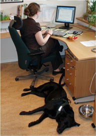 Foto: En kvinna arbetar vid sin dator och en hund ligger på golvet bredvid.