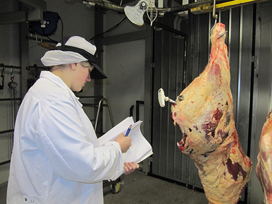 •Efterfrågedriven innovation för högre kvalitet på nöt- och lammkött
