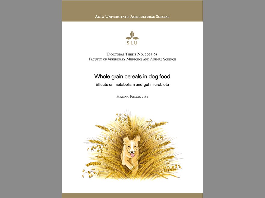 Front page of doctoral thesis with a drawing of a dog and a bouquet of grain crops. Picture.