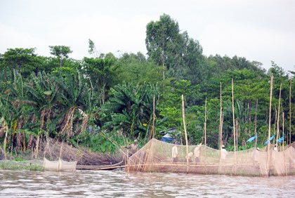 Fiske i Mekongdeltat. Foto.