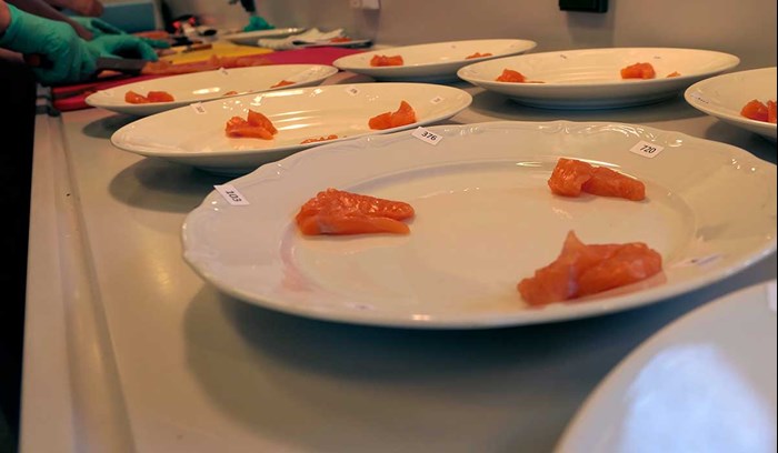 Fisk upplagd på tallrik inför provsmakning. Foto.