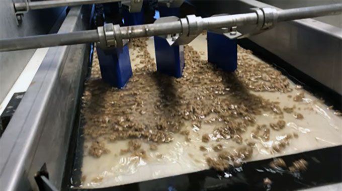 Fertilizer and feed residues in water on a conveyor belt. Photo.