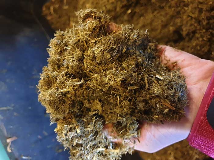 Ensilage som körts genom en bioextruder. Foto.