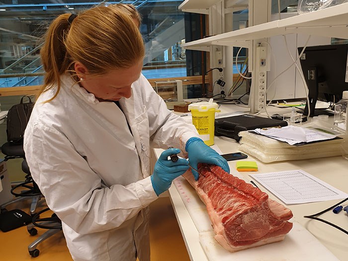 Bedömning av köttets kvalitet. Foto. 