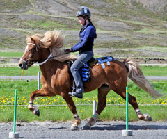 Töltande häst med extra vikt