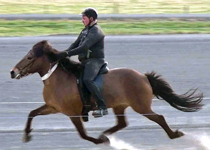 En man rider på en islandshäst. Foto.