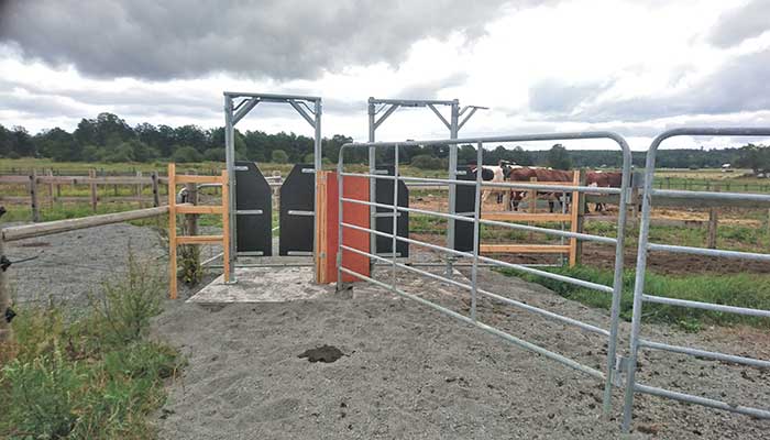 One-way gate out on pasture. Photo.