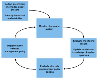 Schematic figure about adaptive management. Picture.