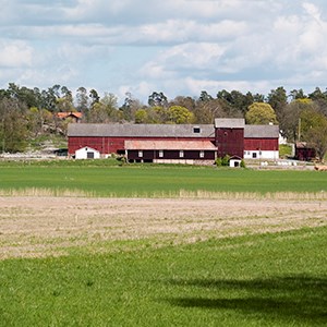 Bild på en bondgård från långt avstånd. Foto. 
