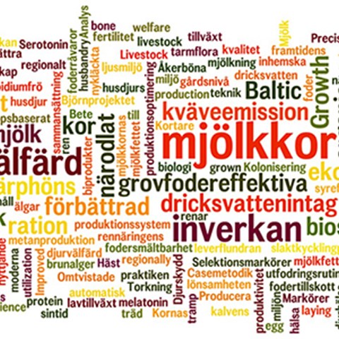 Word cloud with words in many colors describing research. Illustration.