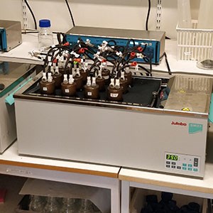 Närbild på in vitro utrustning på lab. Foto. 