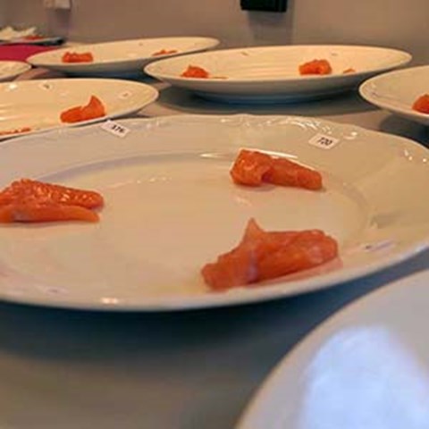 Small pieces of salmon on a white plate. Photo.
