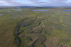 Drone landslide picture of Yamal. Photo.