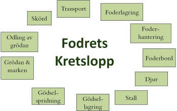 Fodrets kretslopp modell översikt. Bild.