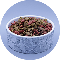 A feed bowl with cat feed. Photo.
