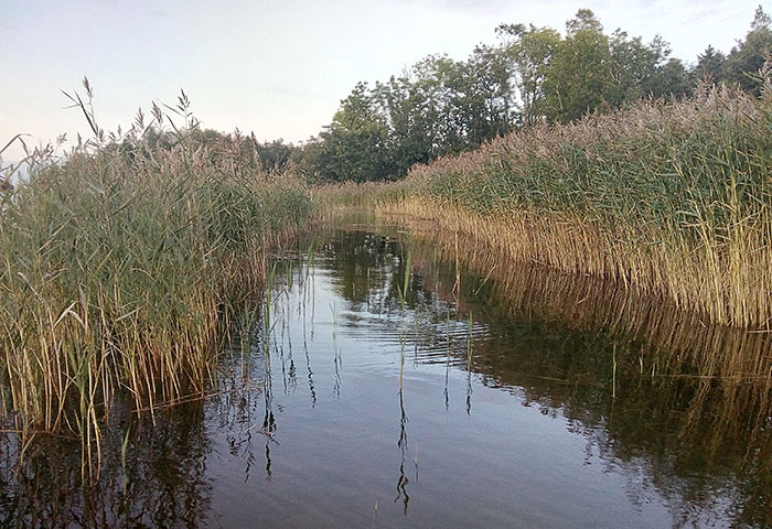 Vassgata. Foto.